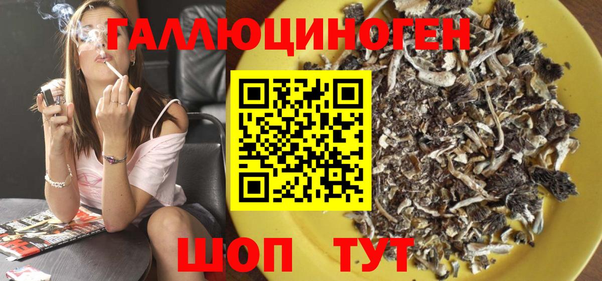Каменка  Псилоцибиновые грибы Psilocybe  Вход с VPN 